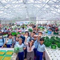 Kegiatan Outdoor Study Kelas VI SD Metta Maitreya ke KebunKita Pekanbaru | SD METTA MAITREYA